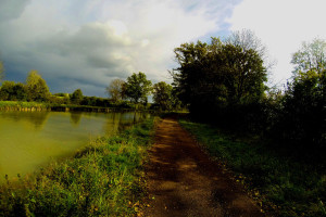 Le canal de bourgogne