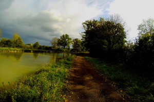 Le canal de bourgogne